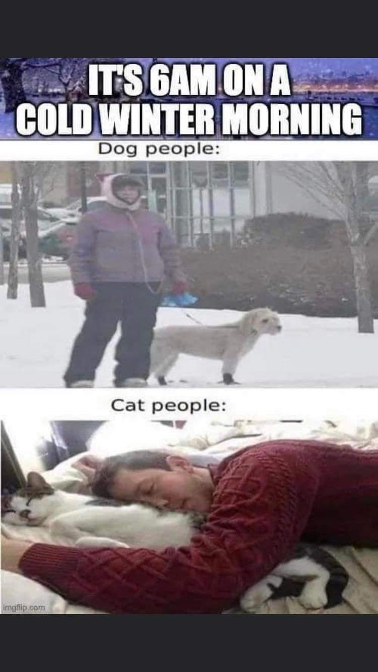 cats-dogs.jpg